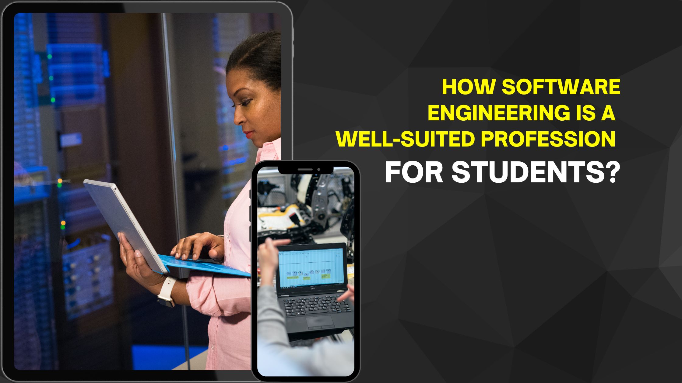 How is software engineering a well-suited profession for students?