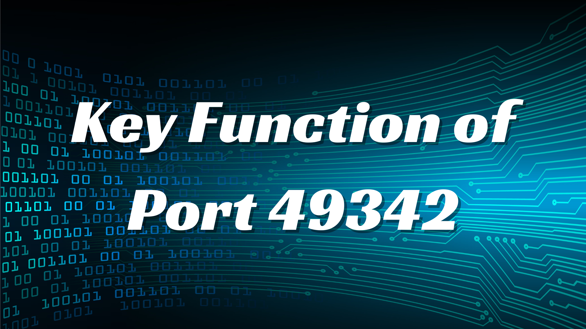 Key Function of Port 49342