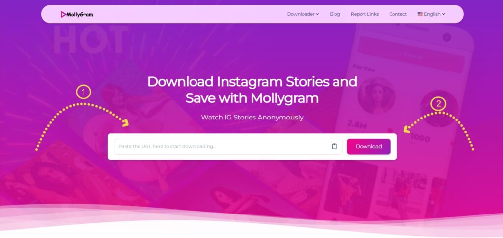 How to View Instagram Stories Without a Trace Using Mollygram?