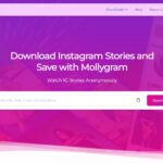 How to View Instagram Stories Without a Trace Using Mollygram?