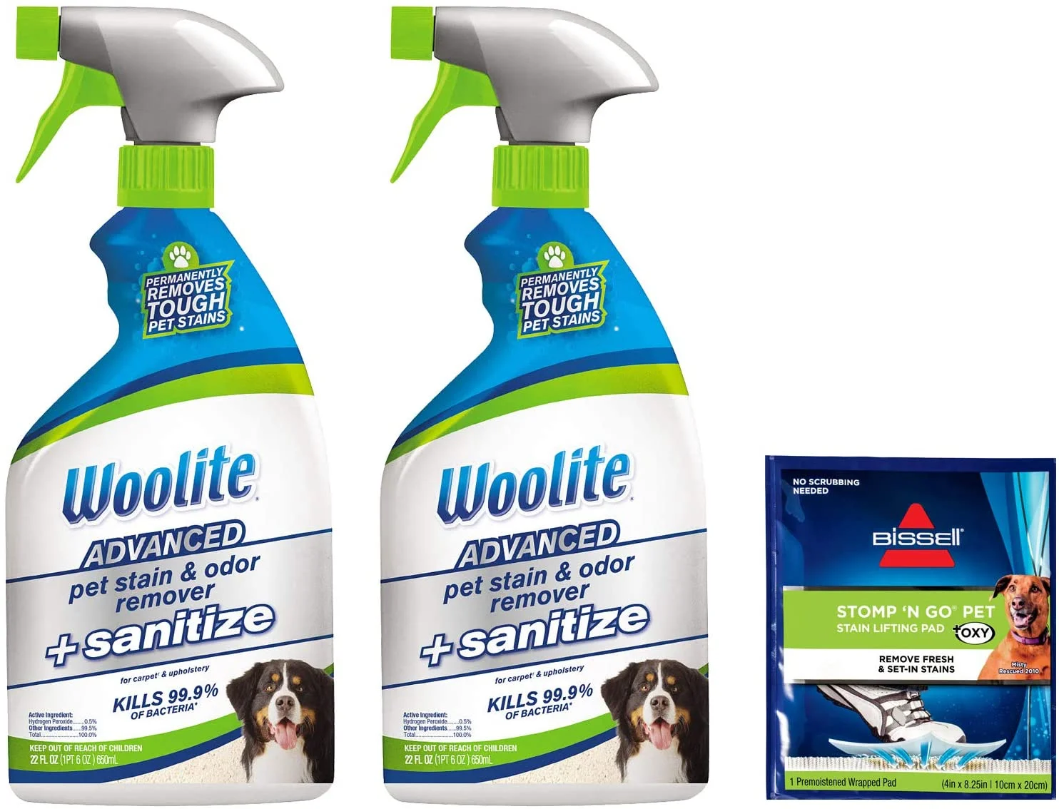 Woolite Advanced Pet Stain & Odor Remover